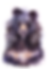 Dreamy Asiatic Black Bear