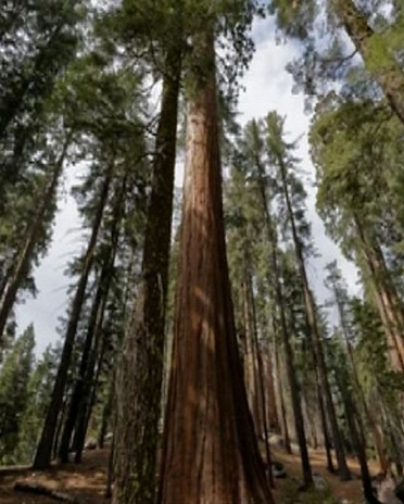 National Parks
