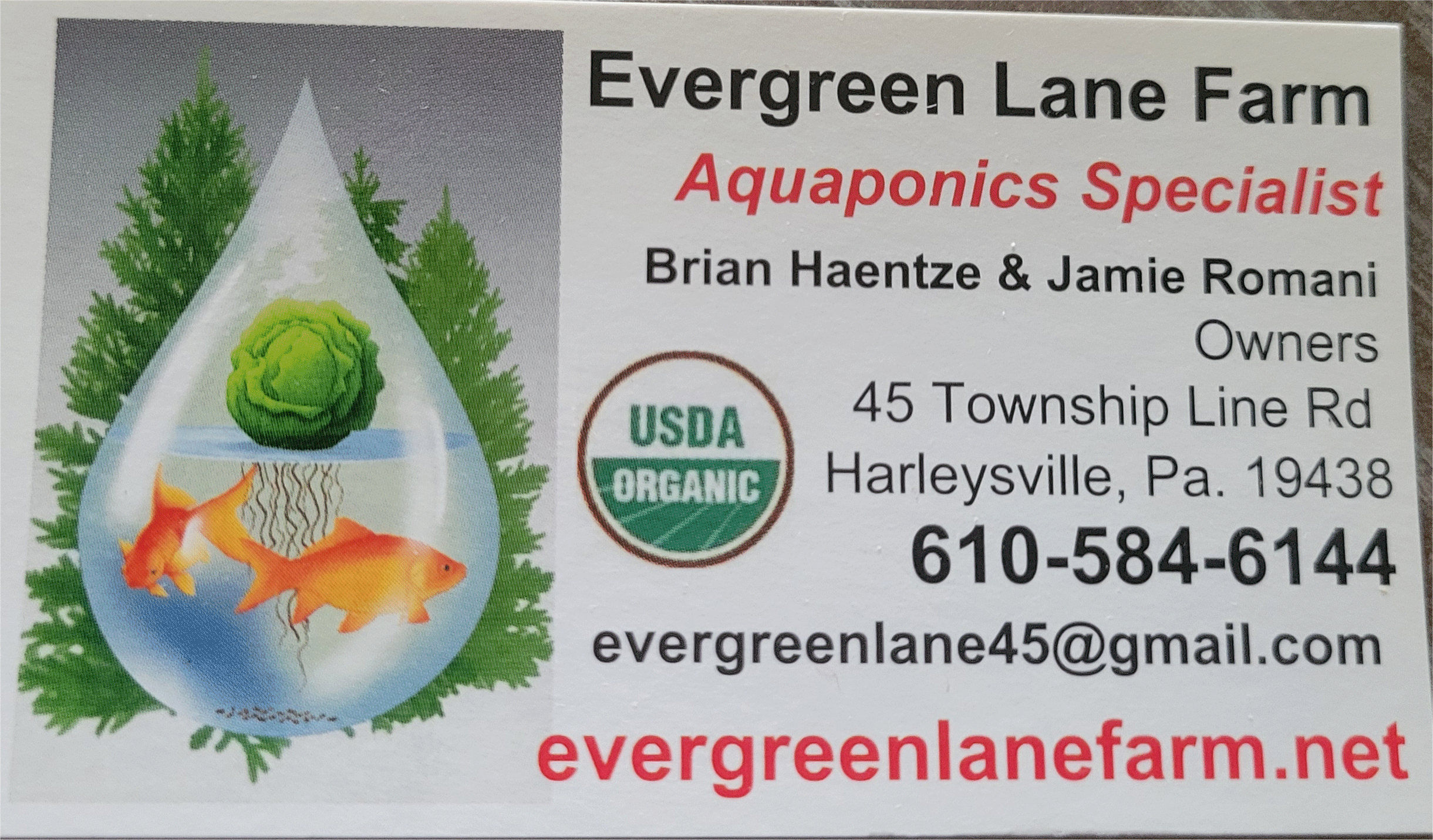 Evergreen Lane Farm
