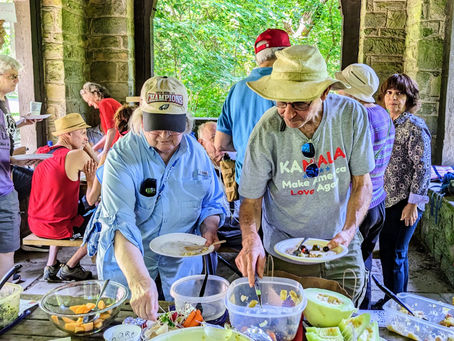 The Power of Community--a #govegan picnic, independence day for the animals