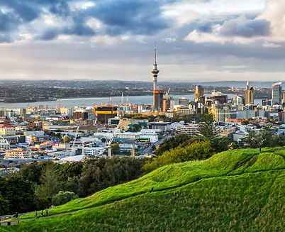 nz3.jpeg