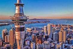nz2.jpg
