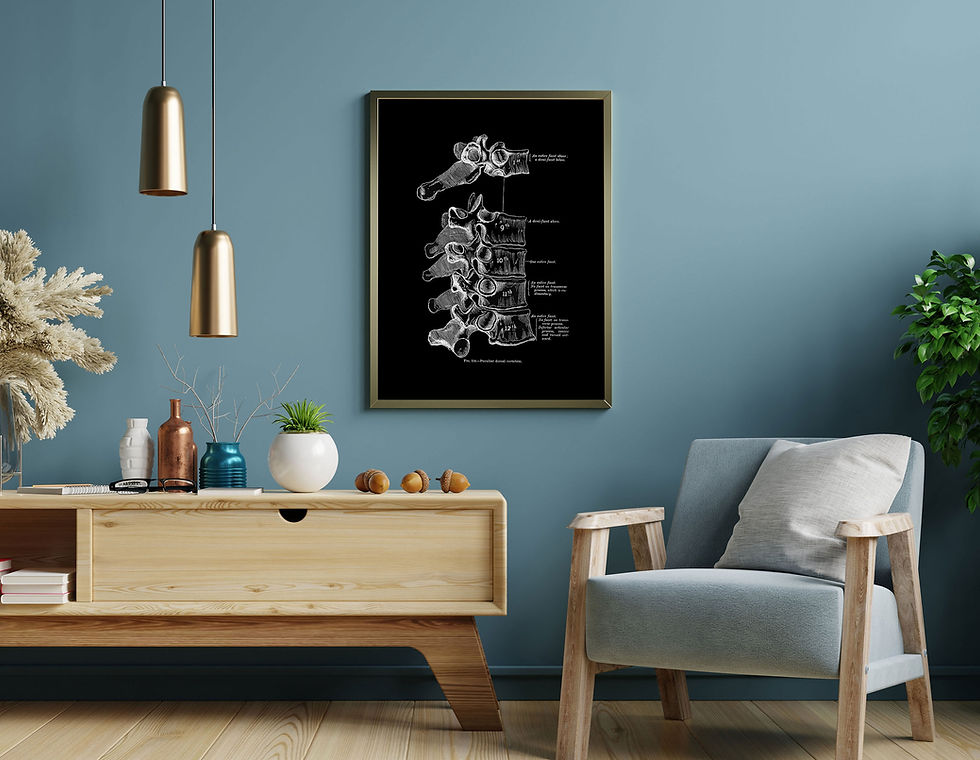 Thumbnail: Dorsal Thoracic Spine Osteology Vertebrae Vintage Human Anatomy Art X-Ray Black