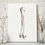 Thumbnail: Humerus Arm Bone Ortho Vintage Human Anatomy Art Print