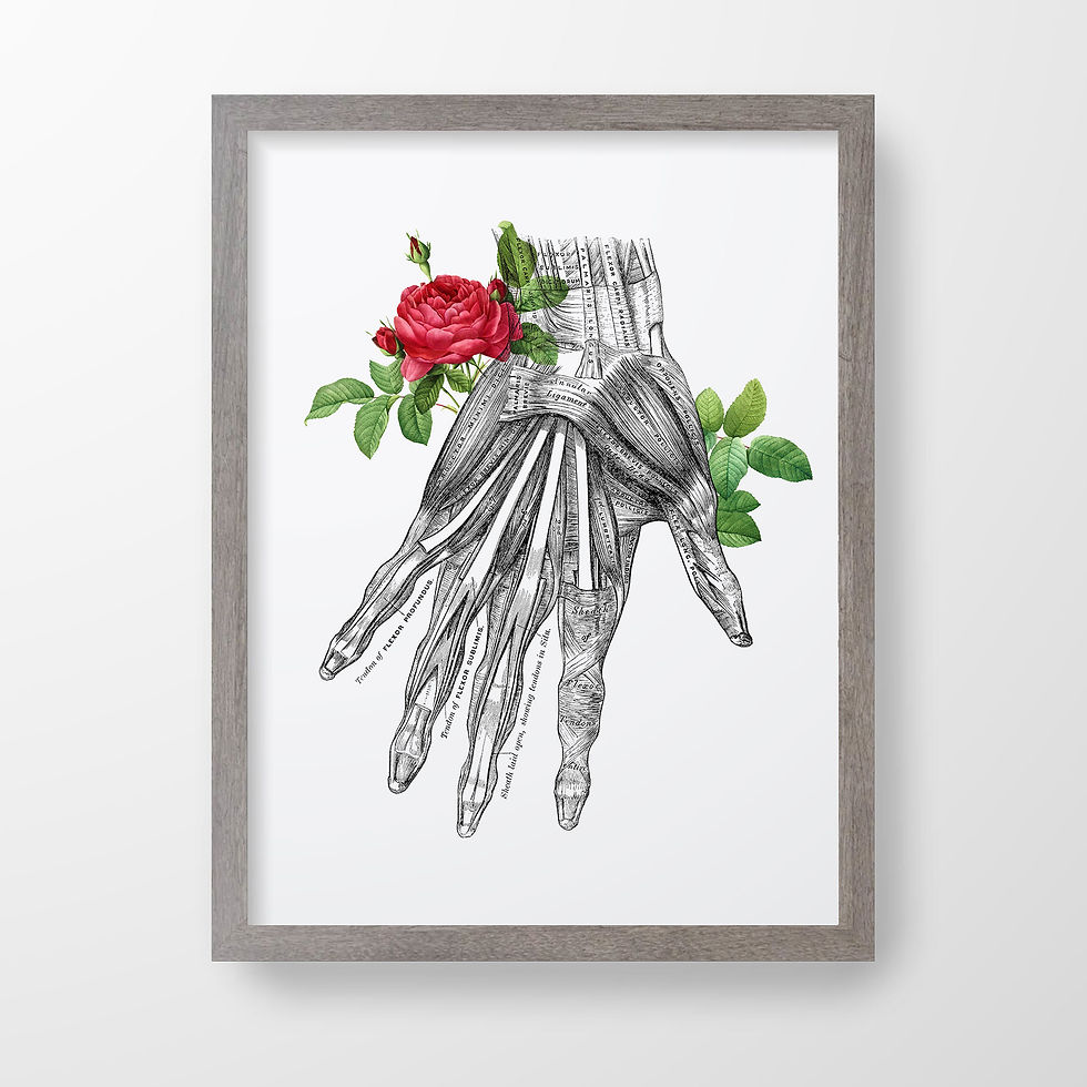 Thumbnail: Hand Flexor Muscle Ligament Tendon Floral Rose Human Anatomical Art Print
