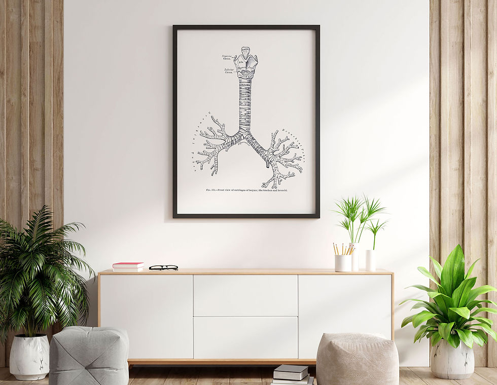 Thumbnail: Lung Larynx Trachea Bronchi Pulmonary Respiratory Human Anatomy Art Print
