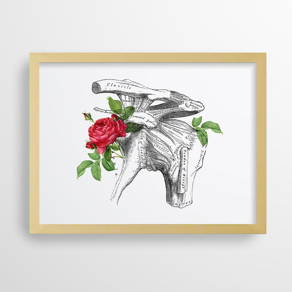 Thumbnail: Shoulder Joint Floral Rose Vintage Human Anatomy Art Print