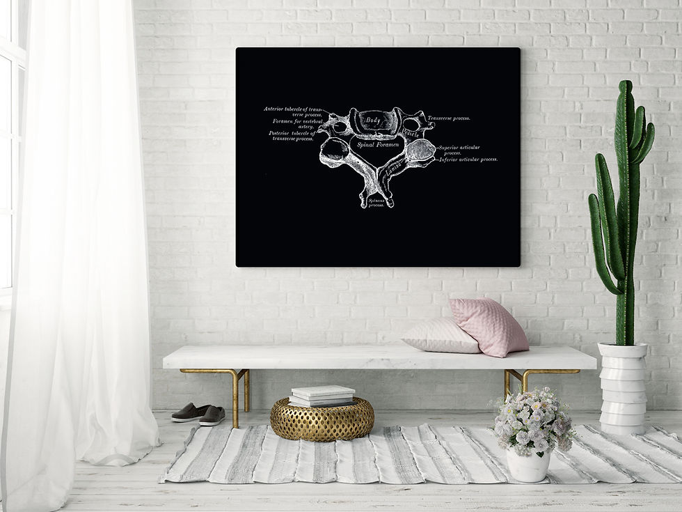 Thumbnail: Cervical Vertebra Spine Vintage Osteology Human Anatomy Art Print X-Ray Black