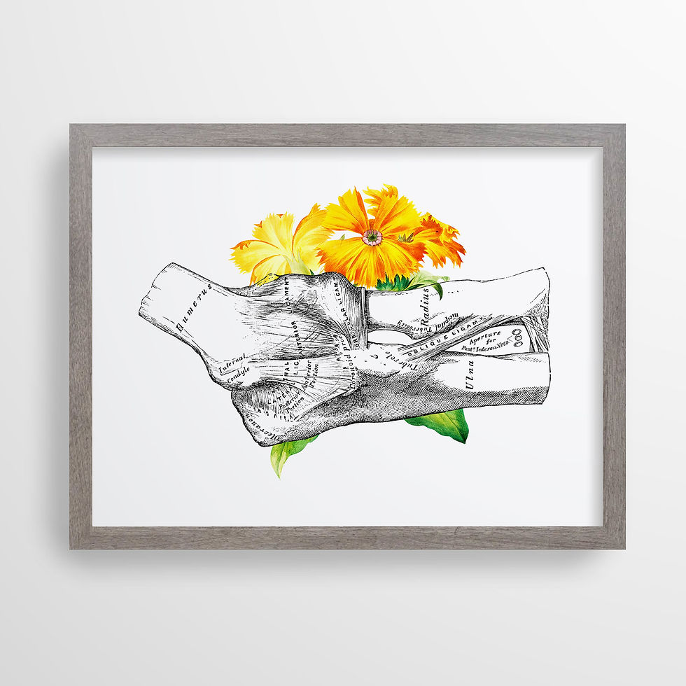 Thumbnail: Elbow Joint Ulna Radius Humerus Arm Floral Human Anatomy Art Print