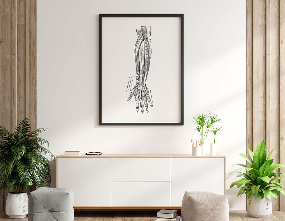 Thumbnail: Hand Forearm Muscle Tendon Vintage Human Anatomy Art Print