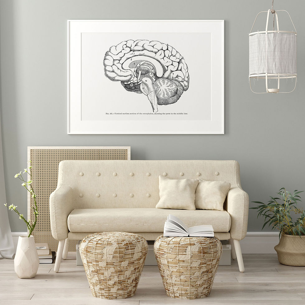 Thumbnail: Lateral Brain Median Section Neurology Vintage Human Anatomy Art Print