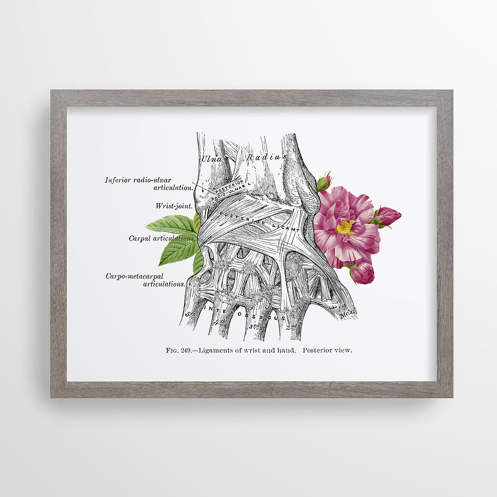 Thumbnail: Wrist Joint Carpal Articulations Ligaments Floral Anatomy Art Print