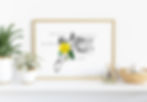 floral anatomy