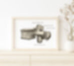 lumbar spine wall art