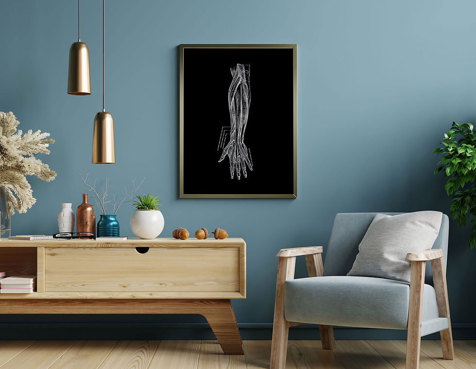 Thumbnail: Hand Forearm Muscle Tendon Human Anatomy Art Print X-Ray Black