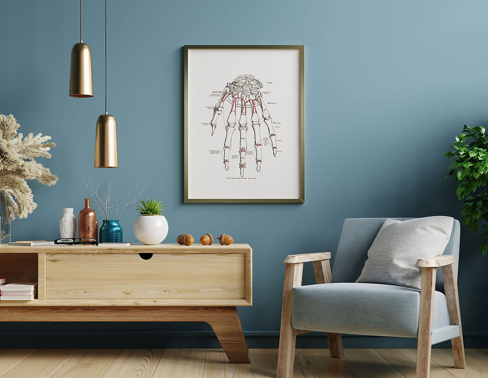 Thumbnail: Hand Carpal Bones Phalanges Dorsal Surface Vintage Human Anatomy Art Print