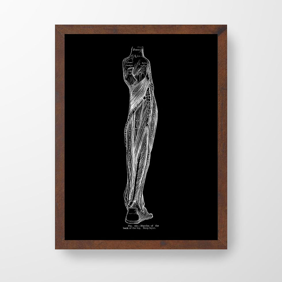 Thumbnail: Leg Calf Deep Muscle Medical Illustration Human Anatomy Art Print X-Ray Black