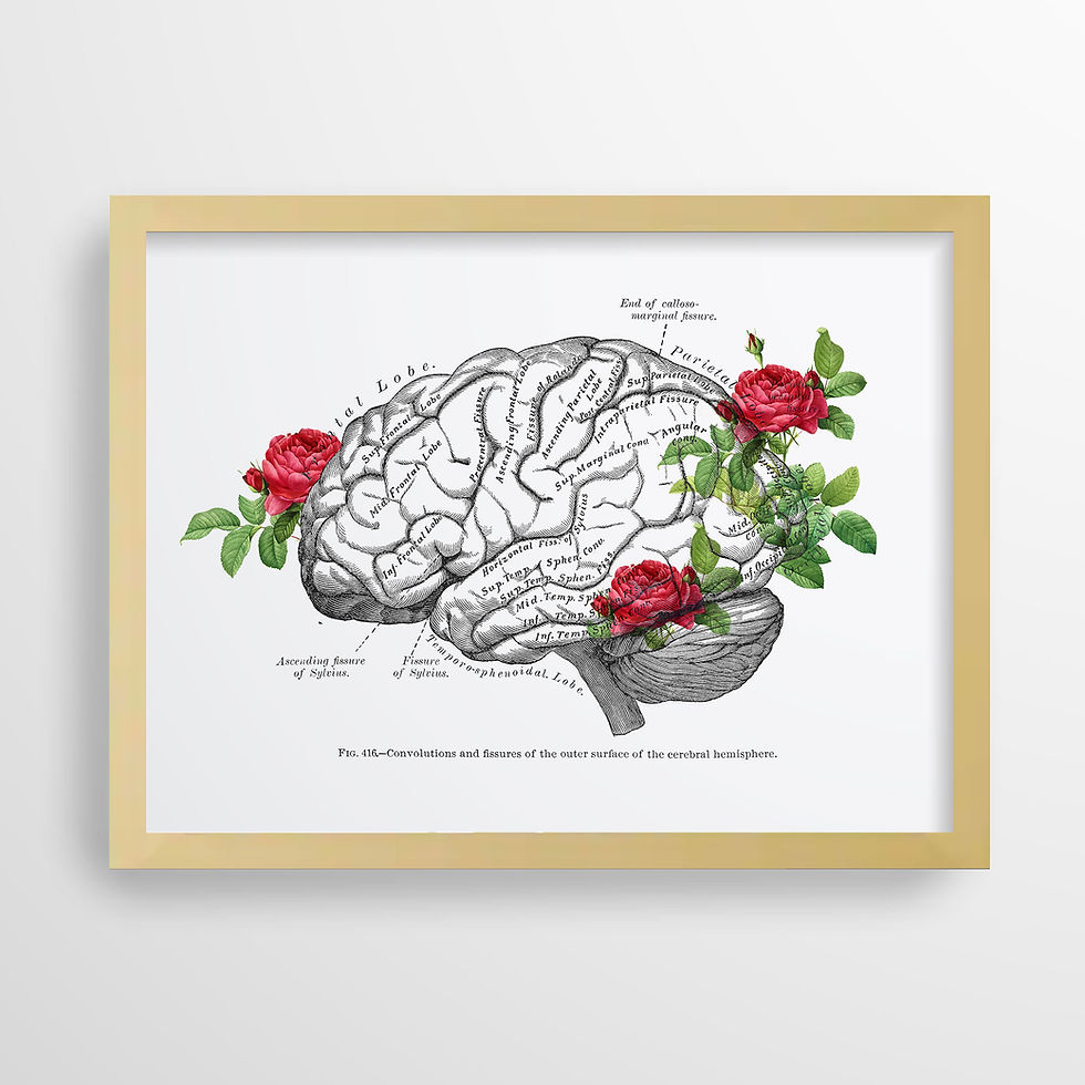 Thumbnail: Brain Hemisphere Fissures and Convolutions Neuro Floral Anatomy Art Print