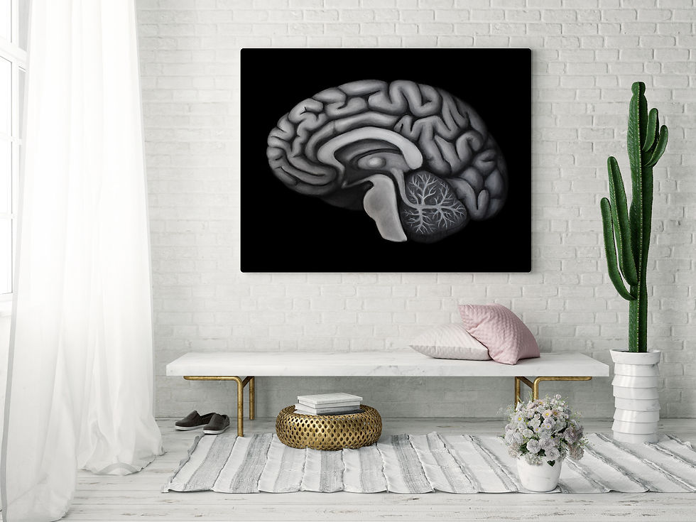 Thumbnail: Lateral Brain Median Section Neurology Modern Human Anatomy Art Print