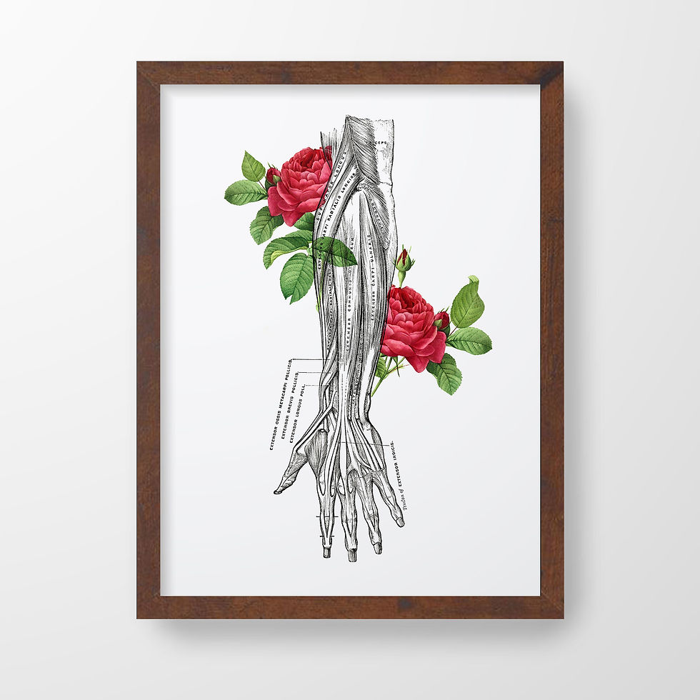 Thumbnail: Hand Forearm Muscle Tendon Floral Rose Human Anatomy Art Print