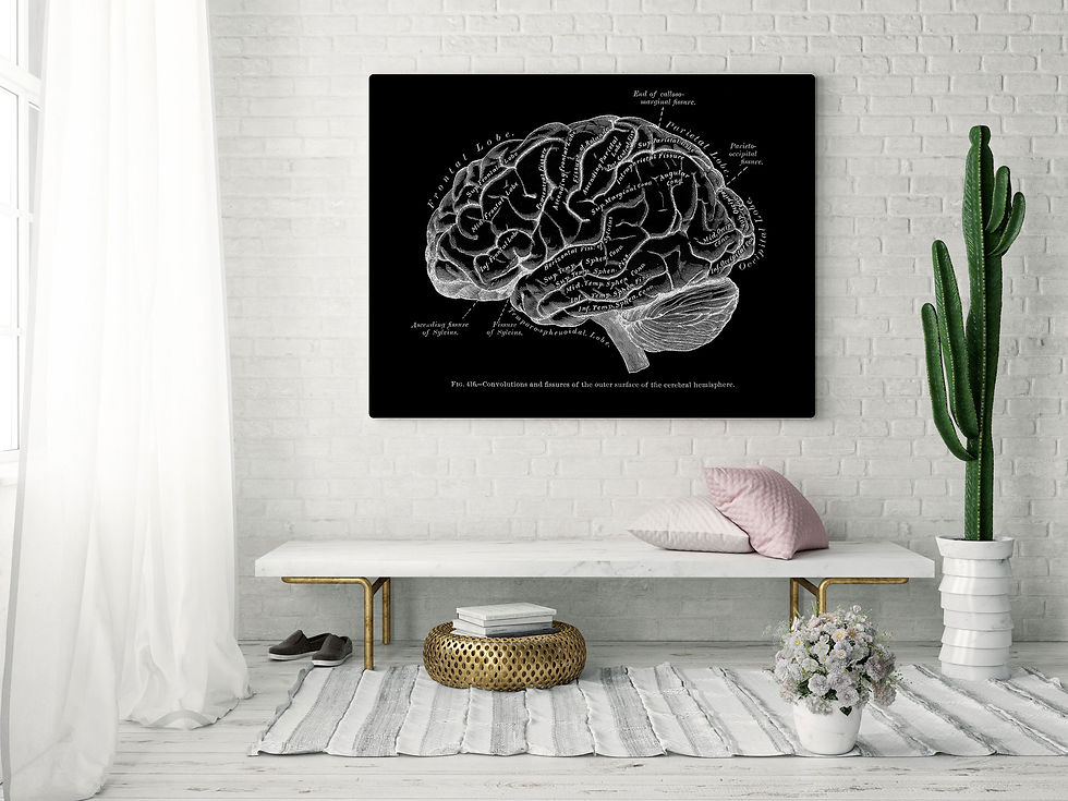 Thumbnail: Brain Hemisphere Fissures and Convolutions Neuro Anatomy Art Prints X-Ray Black