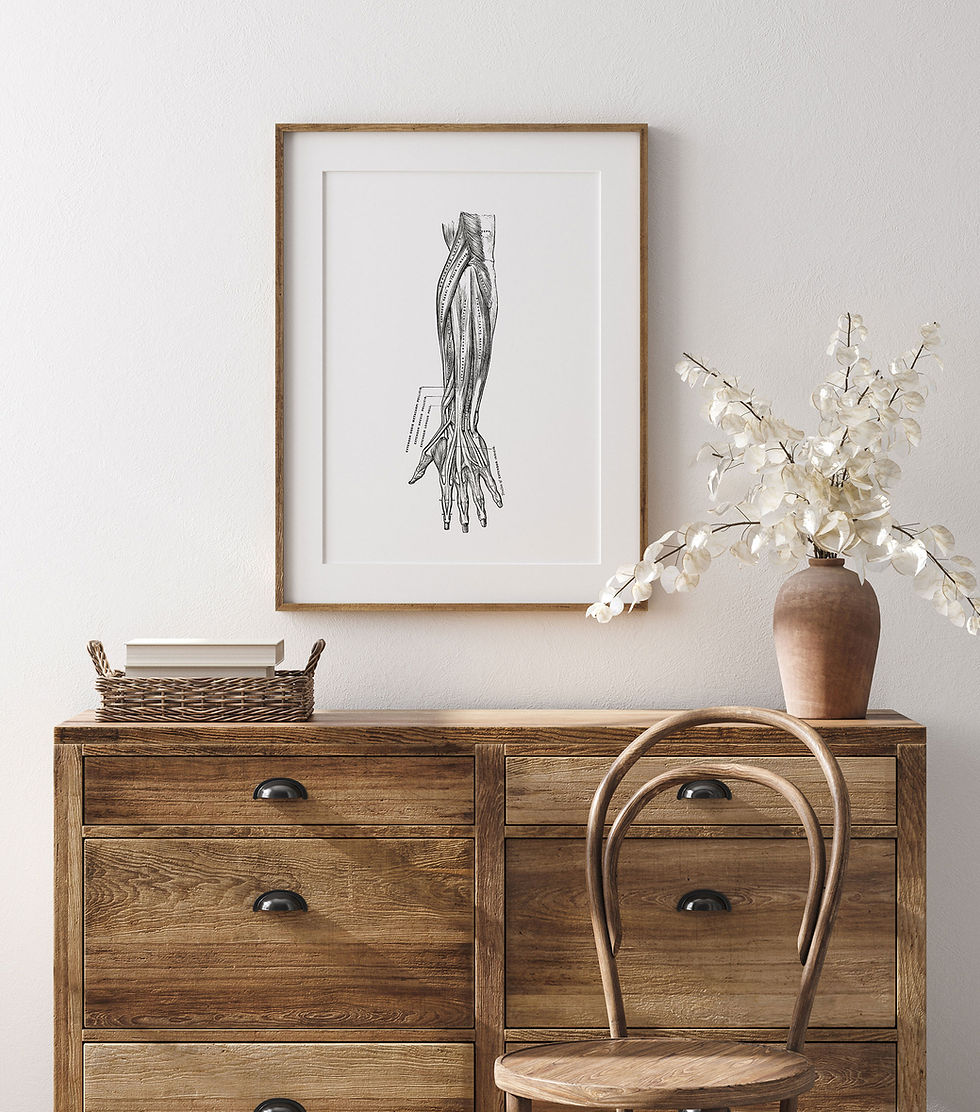 Thumbnail: Hand Forearm Muscle Tendon Vintage Human Anatomy Art Print