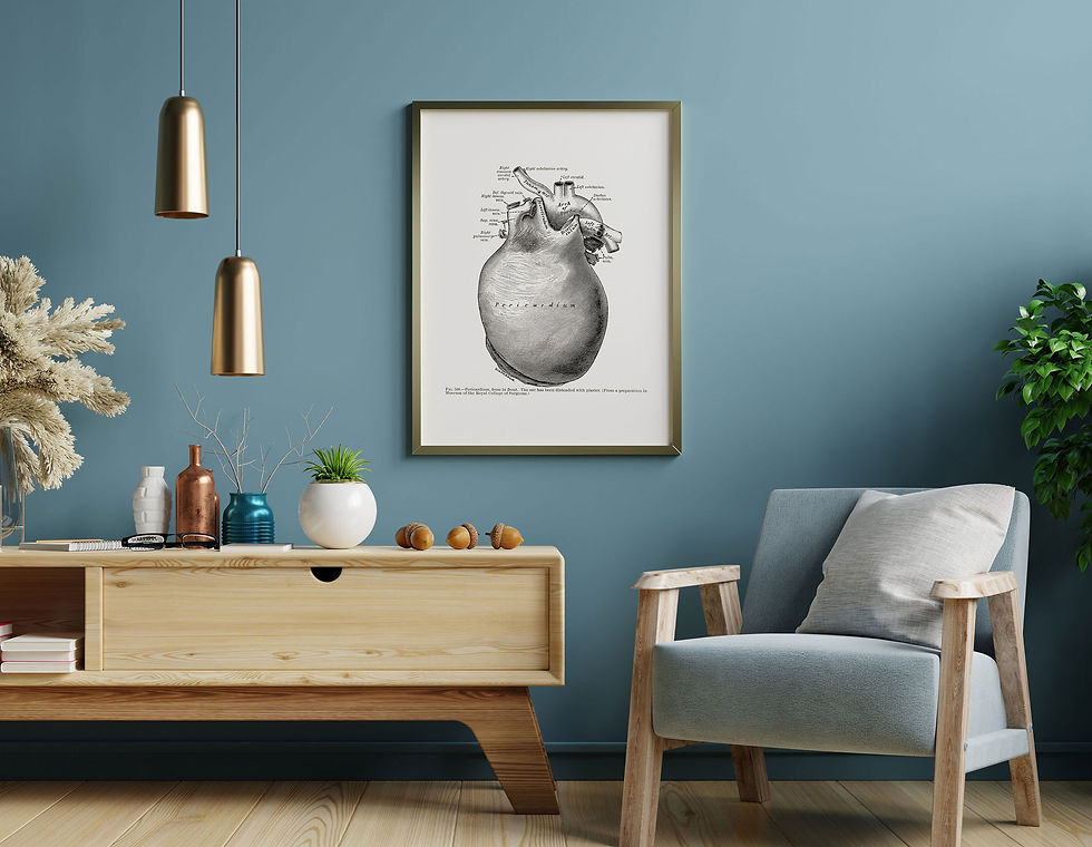 Thumbnail: Pericardium Front Aorta Heart Vintage Human Anatomy Art Print