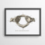 atlas vertebra poster