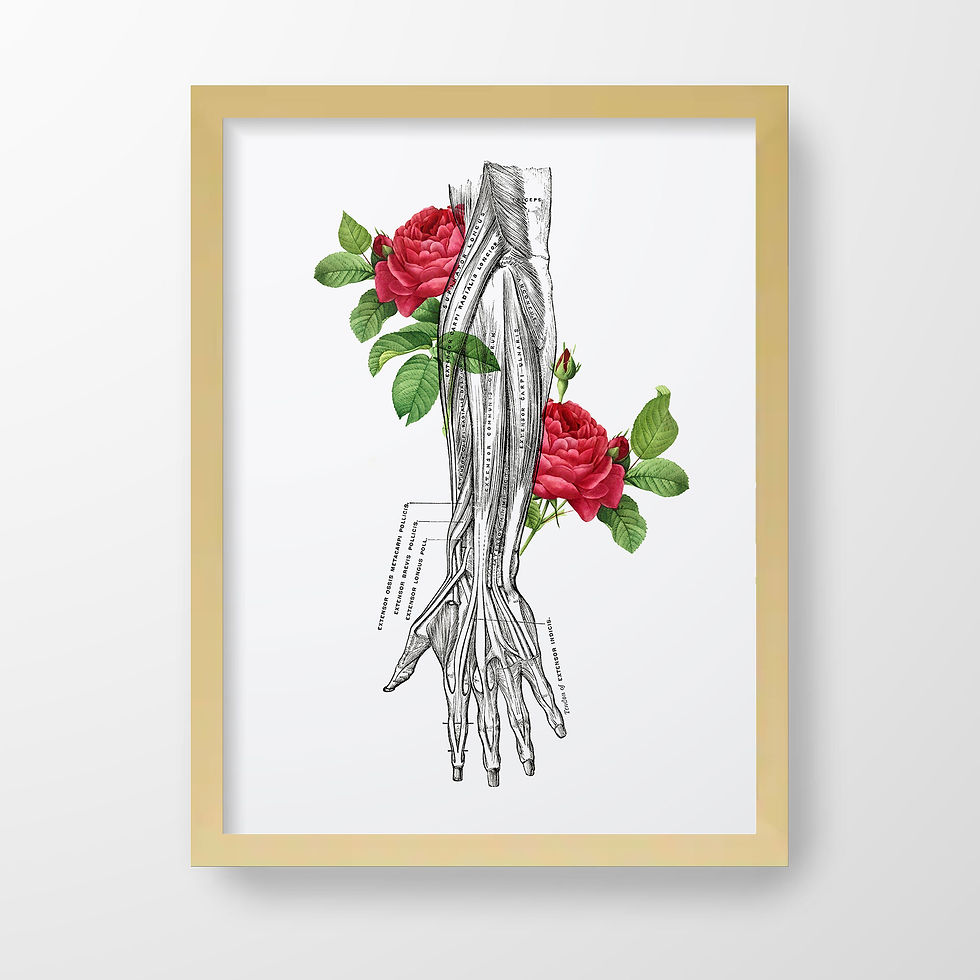 Thumbnail: Hand Forearm Muscle Tendon Floral Rose Human Anatomy Art Print