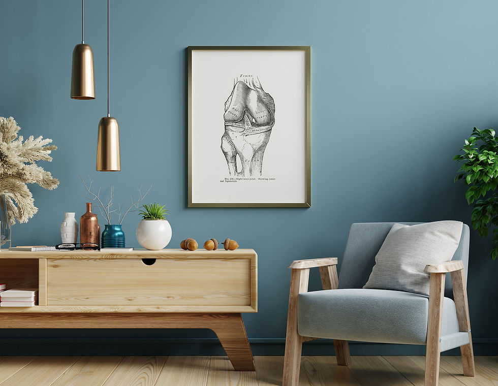 Thumbnail: Knee Joint Internal Ligament Medical Drawing Vintage Human Anatomy Art Print