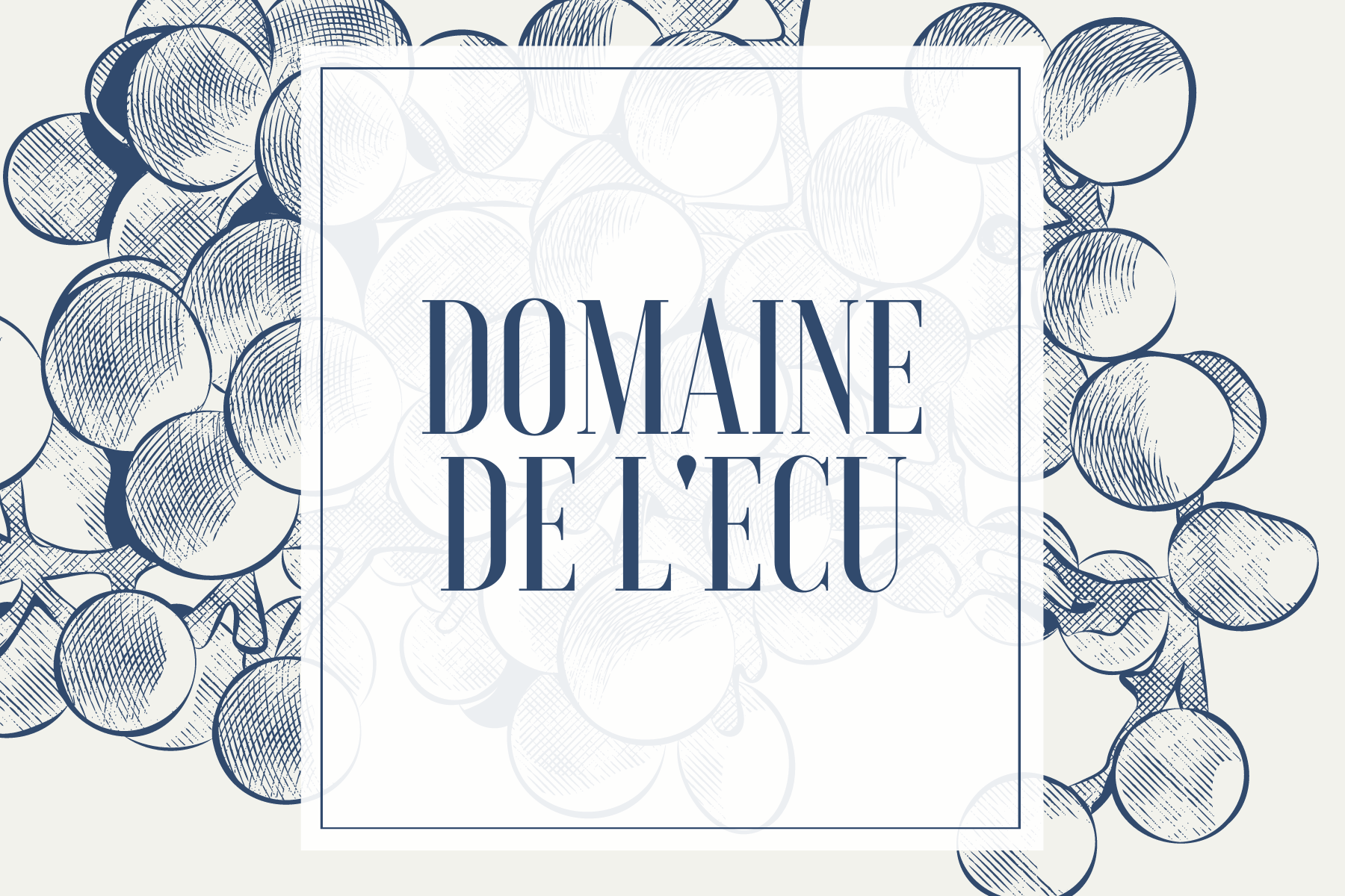 Domaine de l'Ecu, CuvéeGranite, Blanc, AOP Muscadet