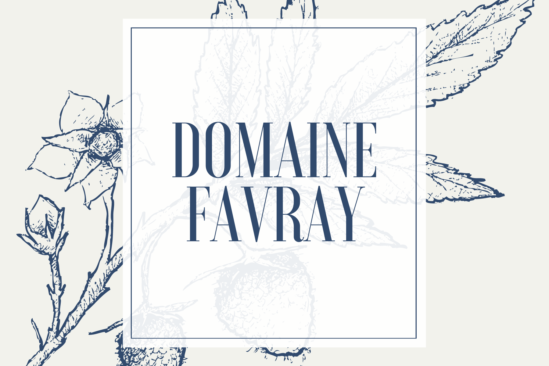 Domaine Favray, Blanc, AOP Pouilly Fumé