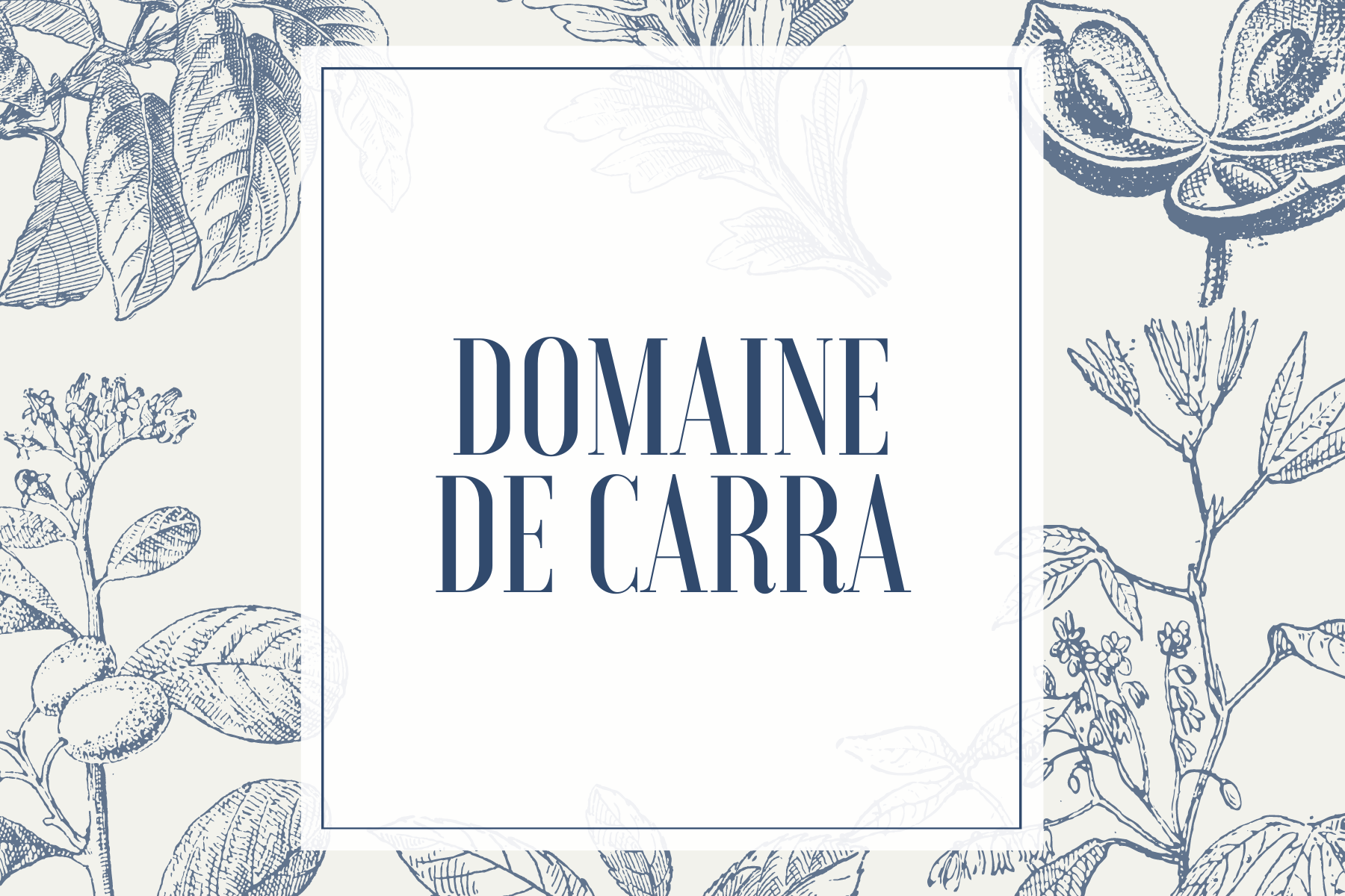 Domaine de Carra, Rouge, AOP Moulin à vent