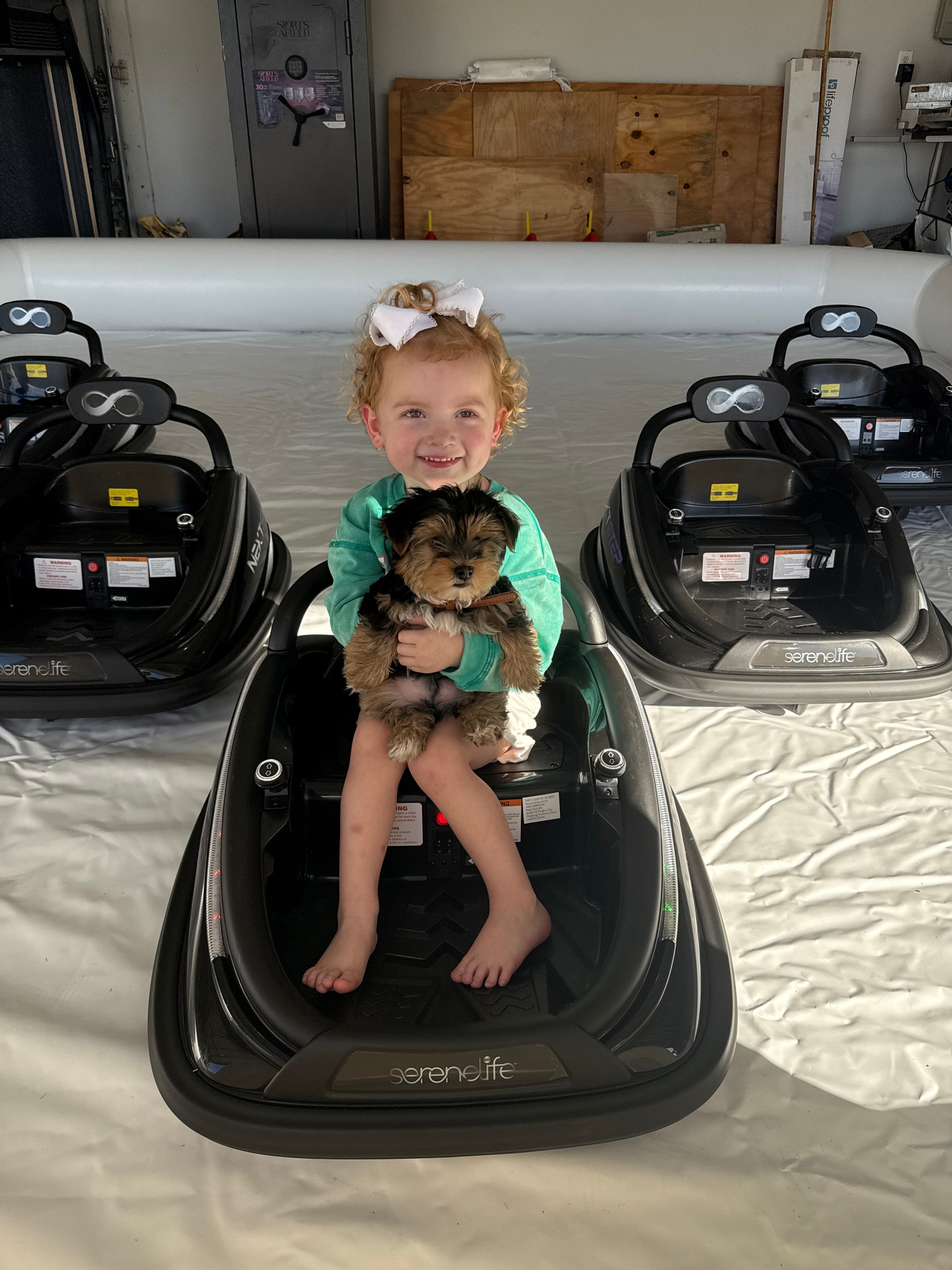 Bumper Cars