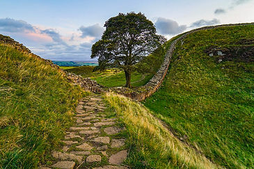 the-trail-to-the-lonely-tree-of-sycamore-gap-in-england-george-afostovremea.jpg
