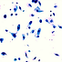 Screenshot 2023-10-06 at 10.53.48 AM (1).png