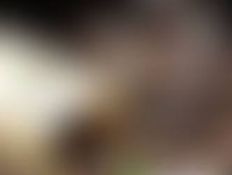 Como mantener el Café en Buen estado por Mas tiempo