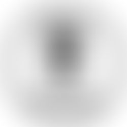 Year 5 Historic Workshops visit Tuesday 23rd April 2024