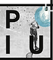PIU_Web_Markenessenz_960px.png