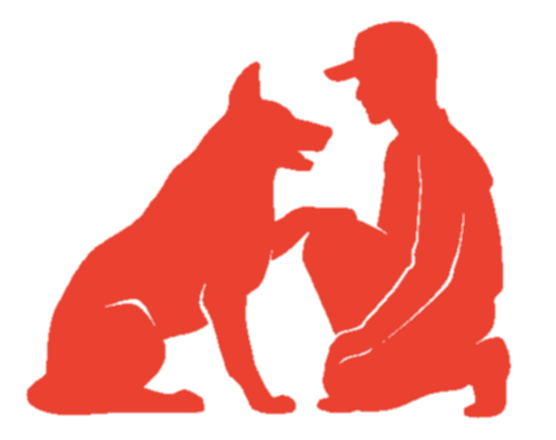 dog trainer and dog