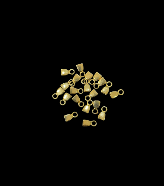 Terminal Copo Dourado 05