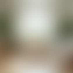 Top 5 Cleaning Tips for a Stress-Free Apartment