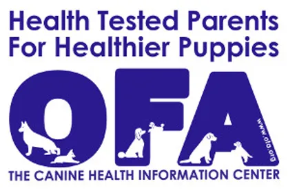 OFA Logo.webp