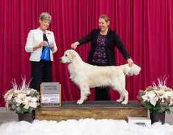 17 months, 1st in class.  Ellen Hardin.