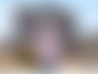 OBRA EFICIENTE:ETAPAS DE UM PROJETO DE CONSTRUÇÃO E A IMPORTÂNCIA DO GESTOR DE OBRAS