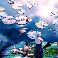 untitled image