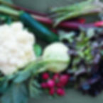 Monash IBS low FODMAP dietitian Sydney Hills