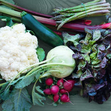 Broccoli, Cauliflower and Cabbage