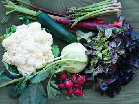 Wound Healing: Good Food for Good Healing