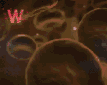 tenor.gif